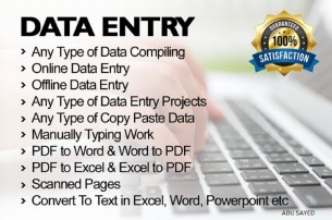I will data entry, copy paste, web scraping and excel data entry