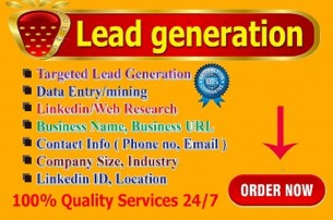 I will do linkedin research b2b lead generation and data entry