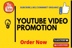 I will do organic youtube video promotion for viral video promotion
