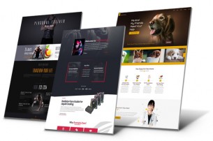 You will get  stunning WordPress website using elementor pro page builders